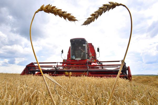 Семь стран создадут «зерновой» альянс против России