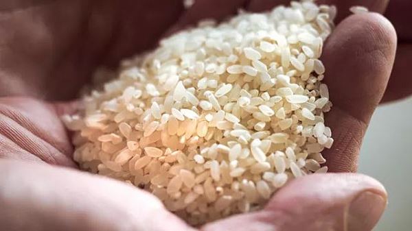 В России предложили запретить вывоз риса